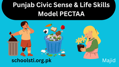 Punjab Civic Sense Life Skills Model PECTAA 3