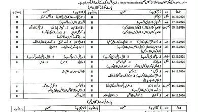 Matric 2nd Annual Official Date Sheet 2026 For All Punjab Boards