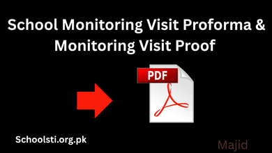School Monitoring Visit Proforma Monitoring Visit Proof 390x220 1