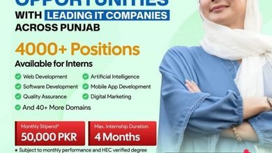 Chief Minister Punjab IT Internship Program 2026 1 cm internship 2026