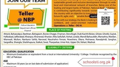 nbp jobs 2026
